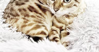 104374899_test_media_1759x939.jpg